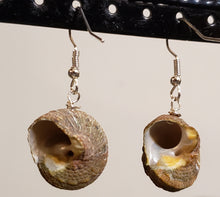 Load image into Gallery viewer, Hand Crafted, Seashell &amp; Silver Tone Fish Hook Earrings