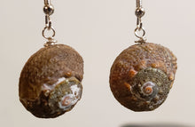 Load image into Gallery viewer, Hand Crafted, Seashell &amp; Silver Tone Fish Hook Earrings